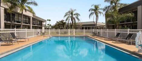 A swimming pool with a white fence, lounge chairs, and palm trees.