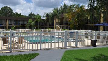 Una piscina al aire libre, sombrillas, sillones reclinables de piscina