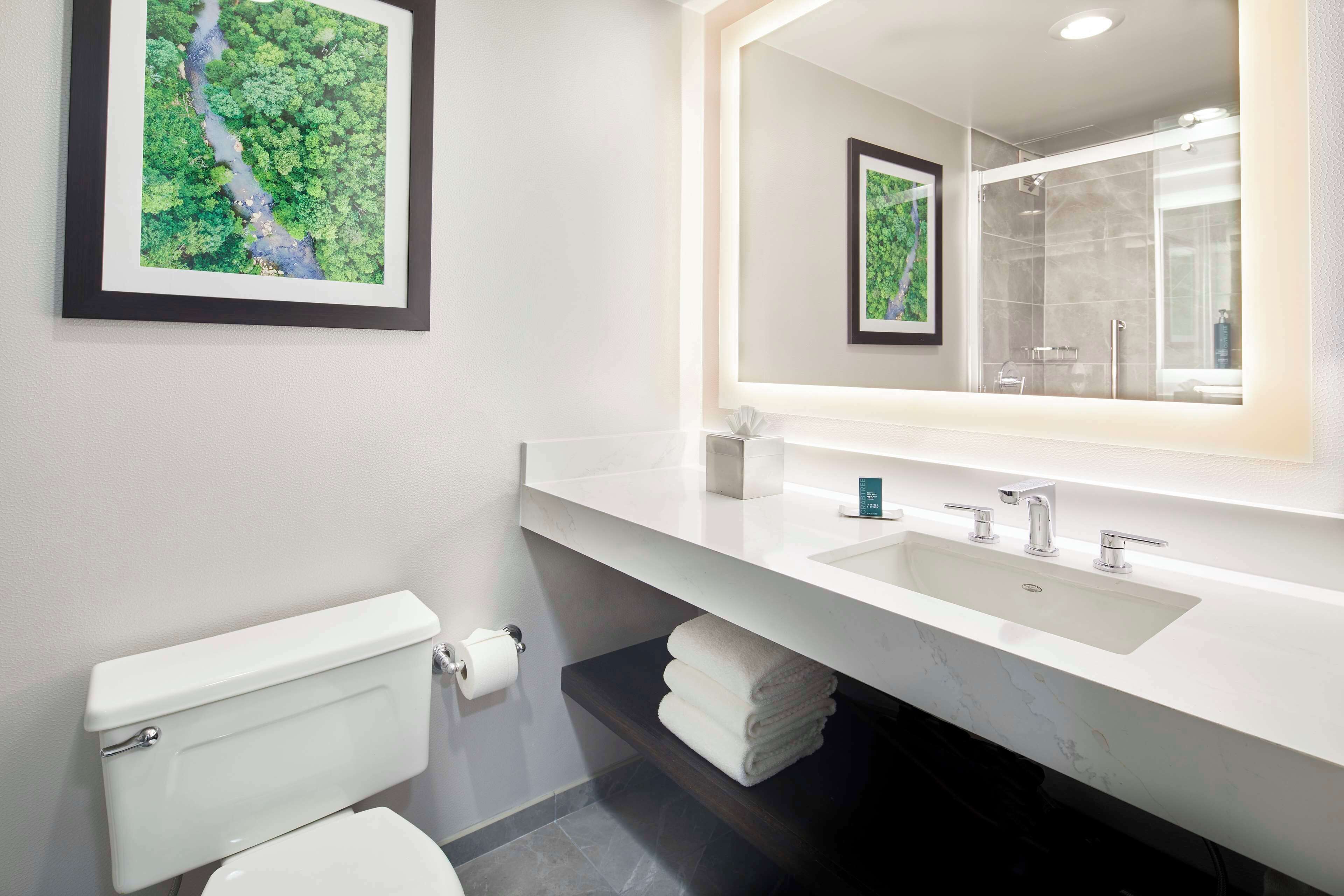 Une salle de bain moderne avec un grand miroir, deux lavabos, des toilettes et un tableau représentant un paysage naturel accroché au mur.