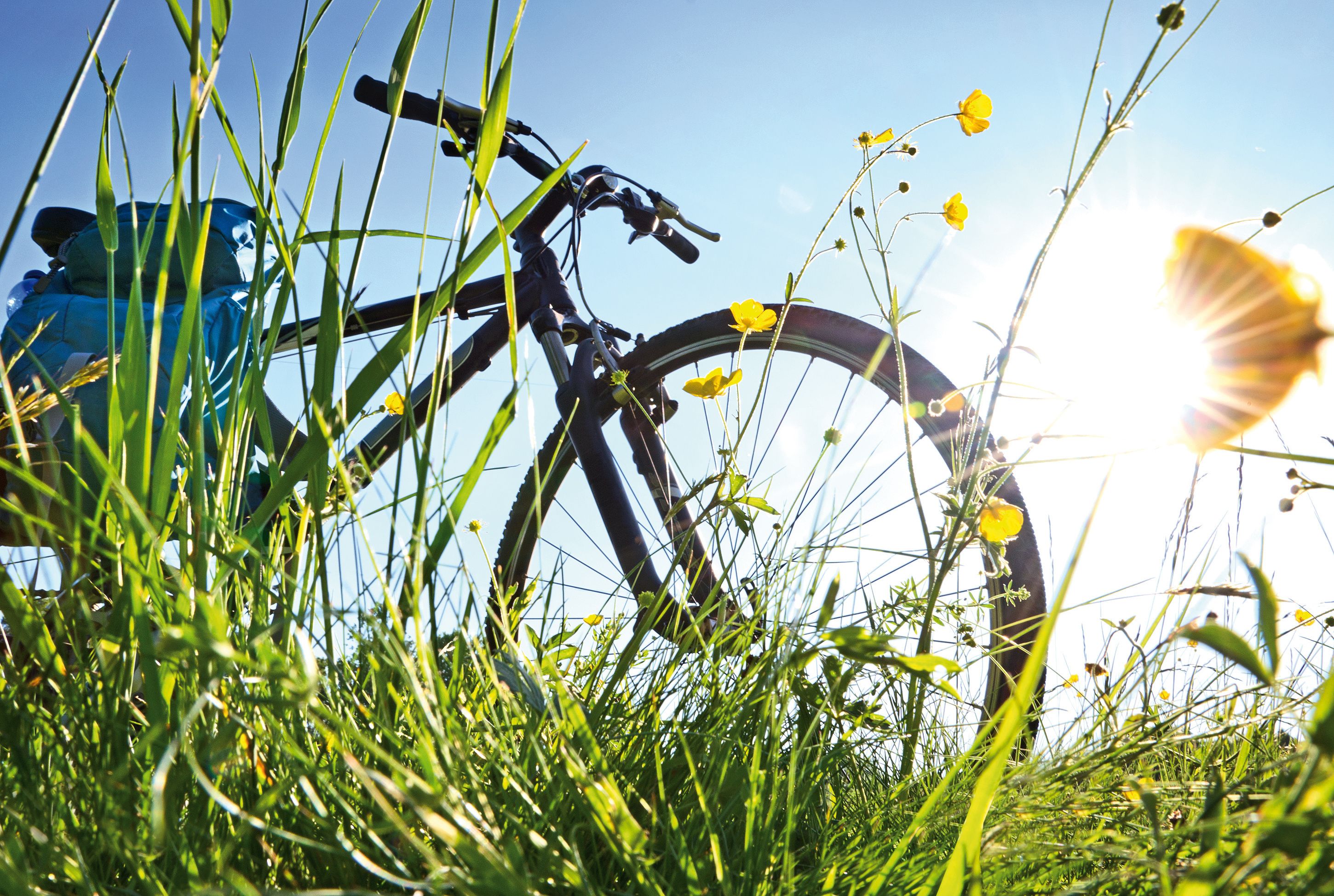 A bicycle leaning against a structure with a clear sky and sunlight in the background.