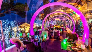 Een eetruimte met tafels en stoelen, verlicht met roze en groene lichten, en een uitzicht op het exterieur door grote ramen.