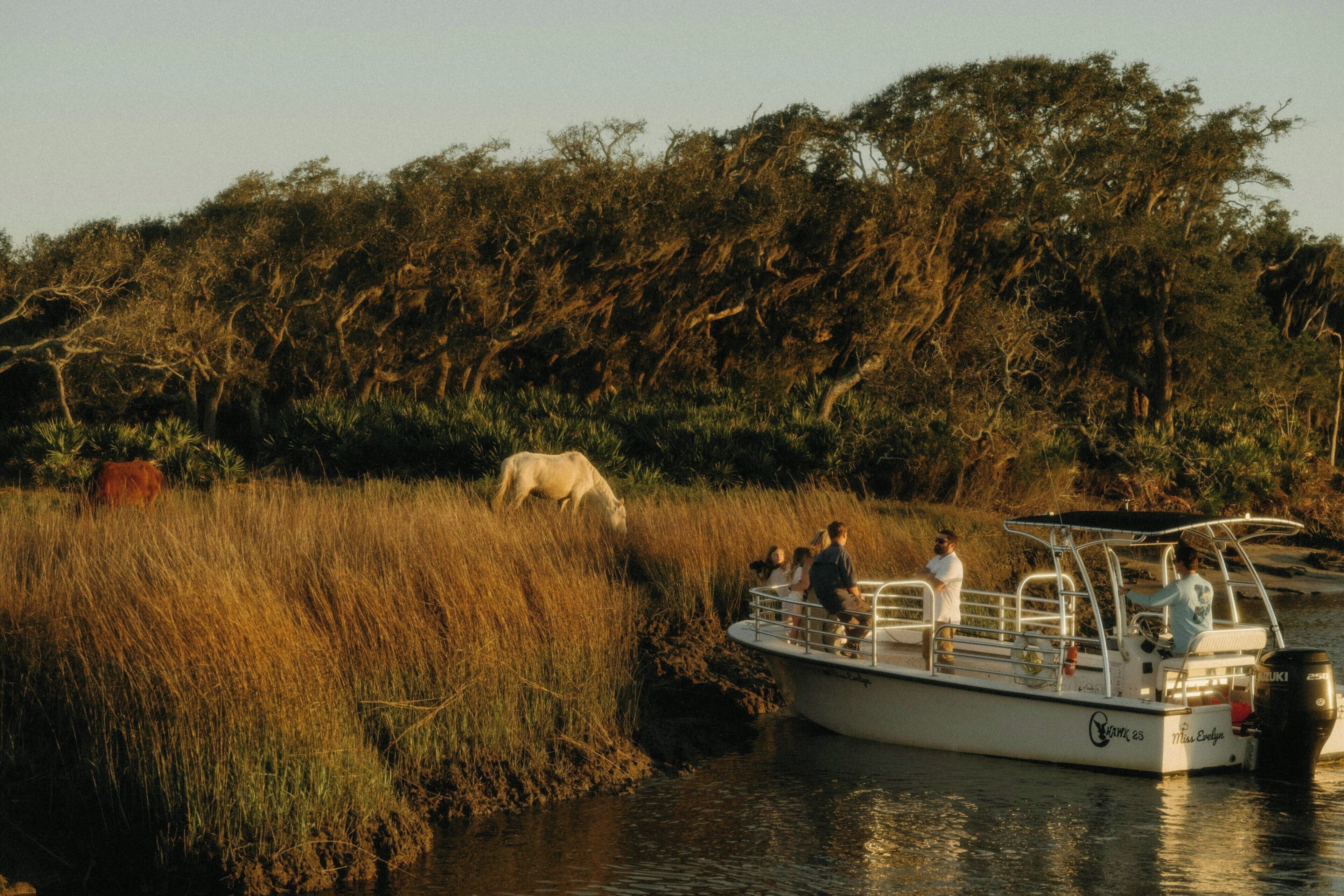 Un bote con pasajeros, una orilla de río con hierba alta y un elefante a lo lejos.