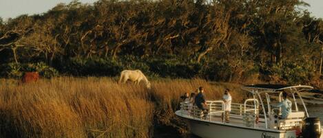 Un bote con pasajeros, una orilla de río con hierba alta y un elefante a lo lejos.