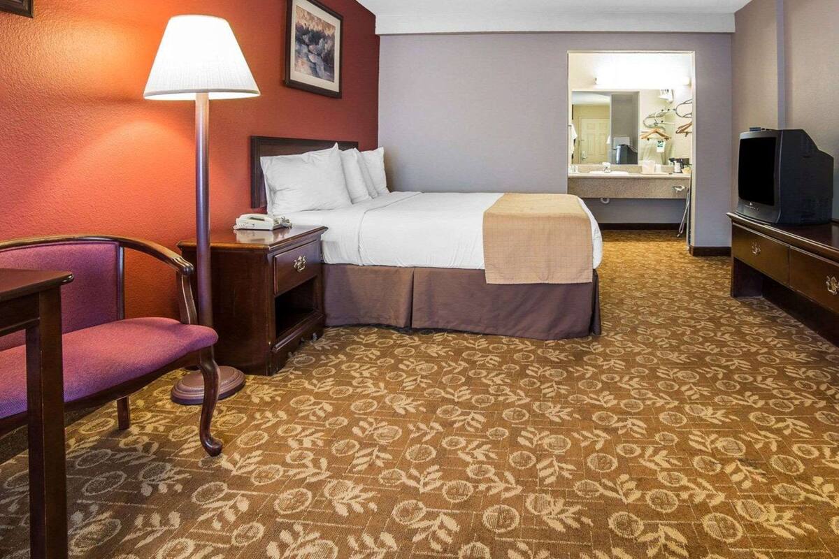 Una habitación de hotel con cama, lámpara de noche, sillón, escritorio y televisor.