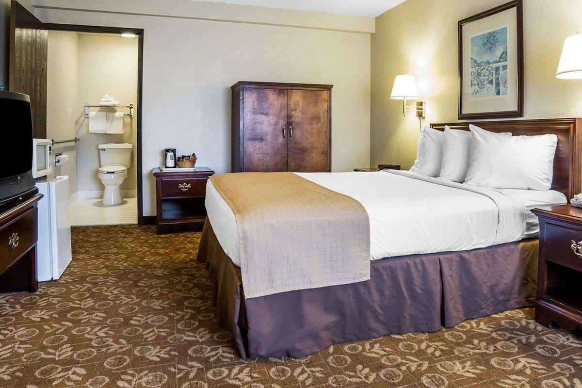 Una habitación de hotel con cama, mesita de noche, lámpara, armario y televisor.