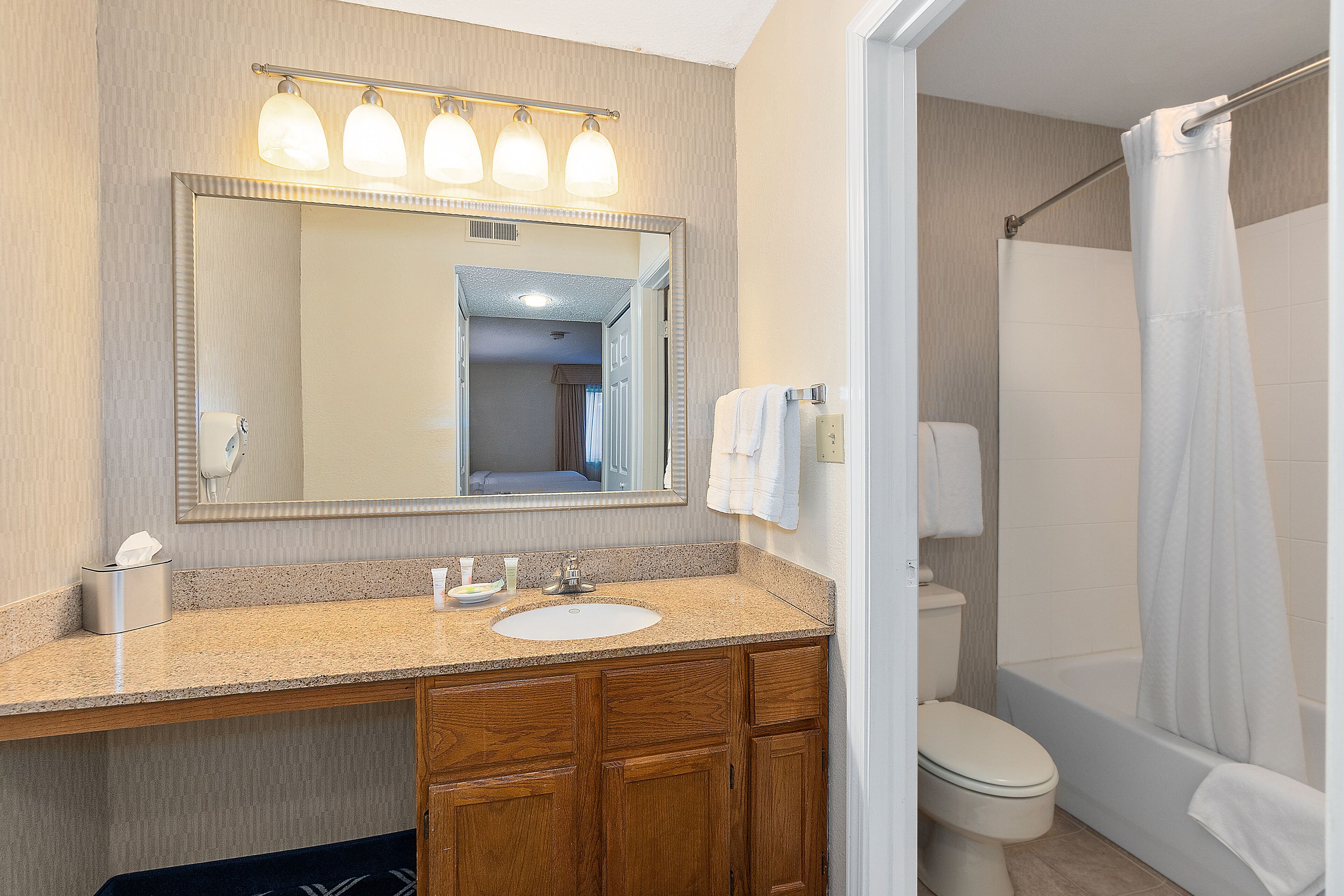 combined shower/bathtub, free toiletries, hair dryer, towels