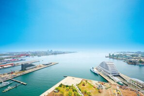 Vista aérea de un puerto con un gran crucero amarrado, un puerto deportivo con barcos y edificios industriales.