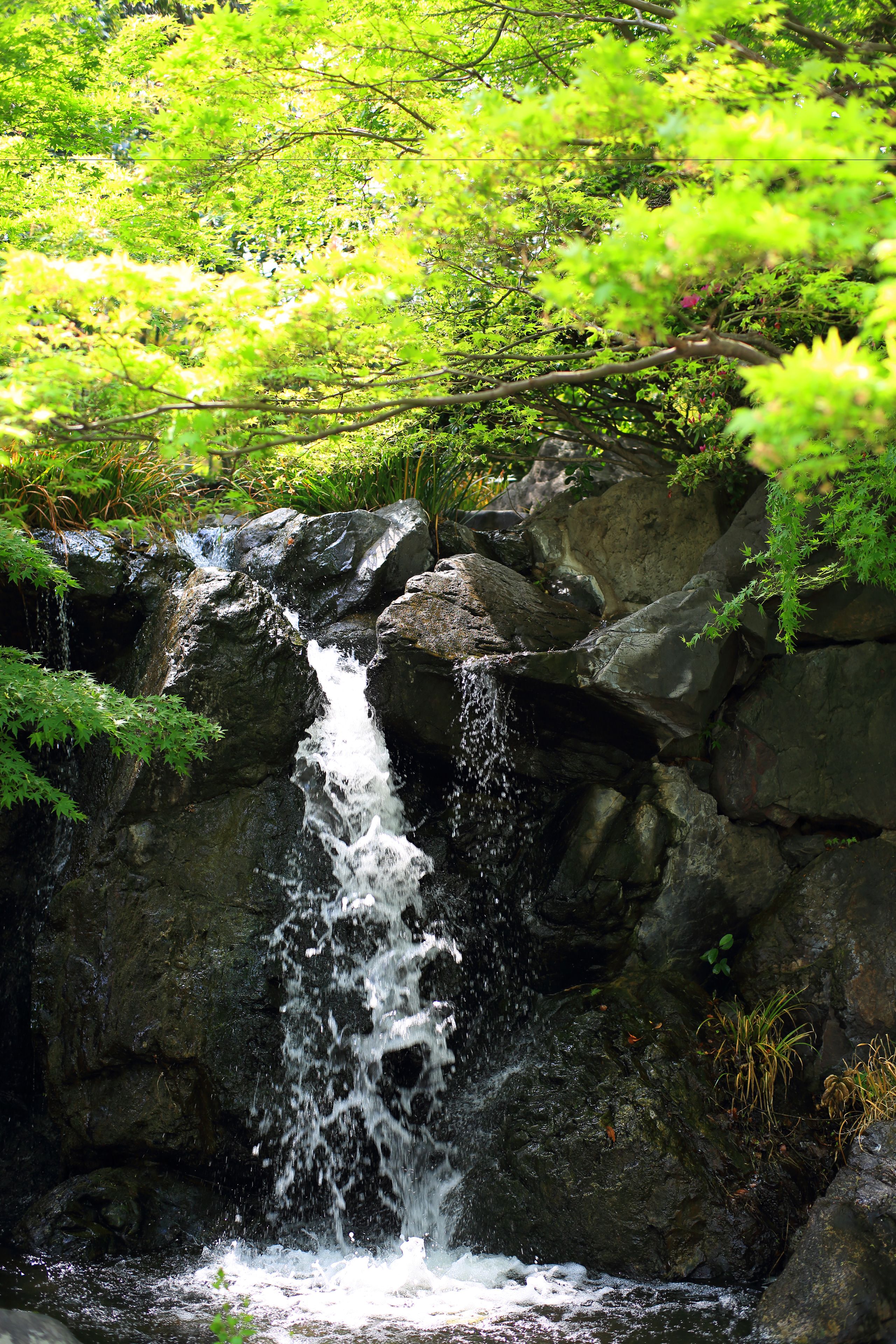 Una cascada fluye sobre rocas, rodeada de vegetación exuberante.