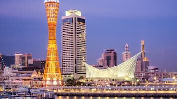 Experience the city's vibrant skyline, featuring a striking tower and modern high-rise building, with a scenic bridge spanning a body of water.