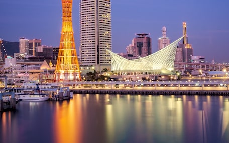 A cityscape with a prominent tower and a modern bridge.