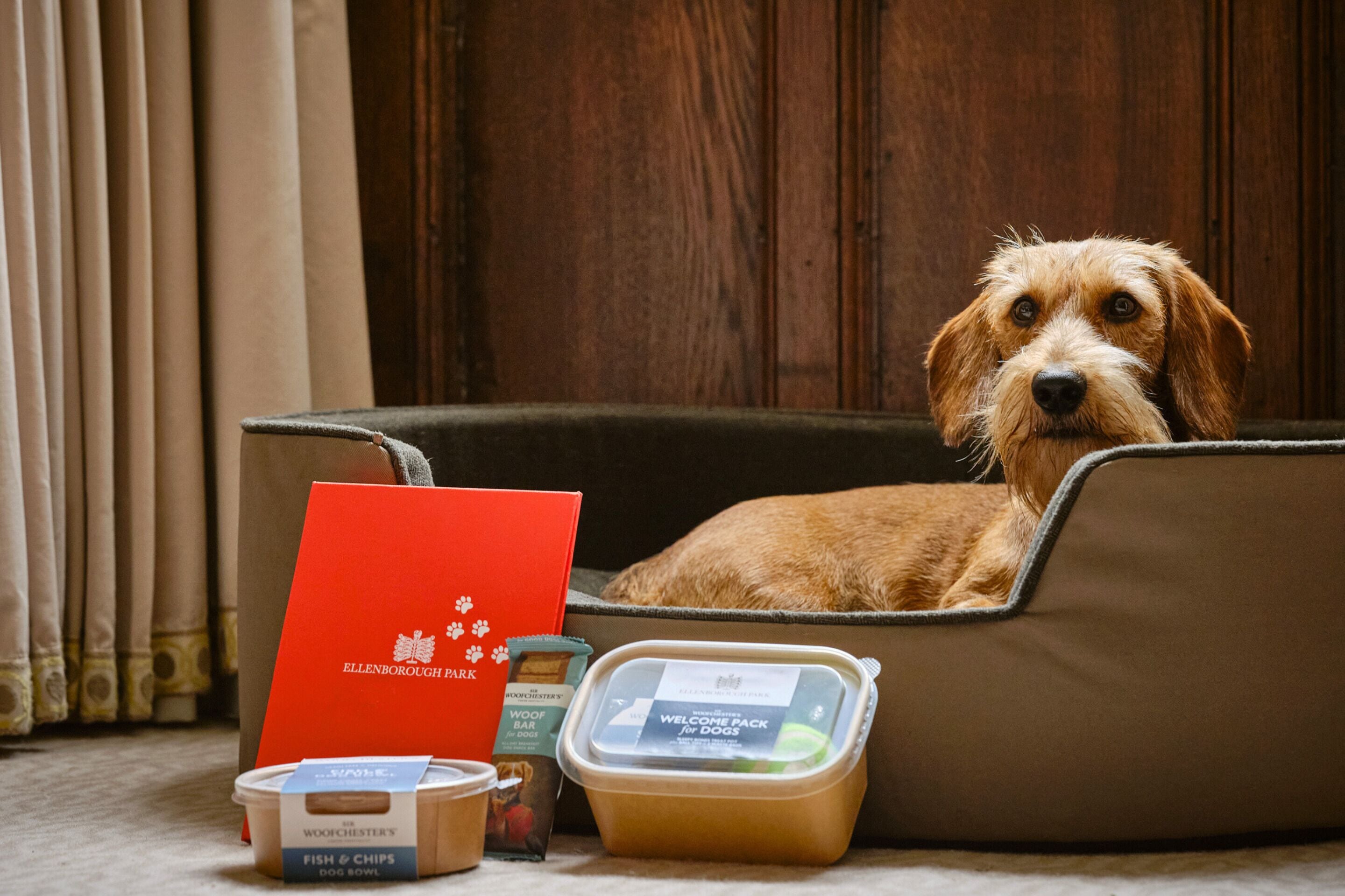 A dog resting in a pet bed with a red bag and food containers nearby.