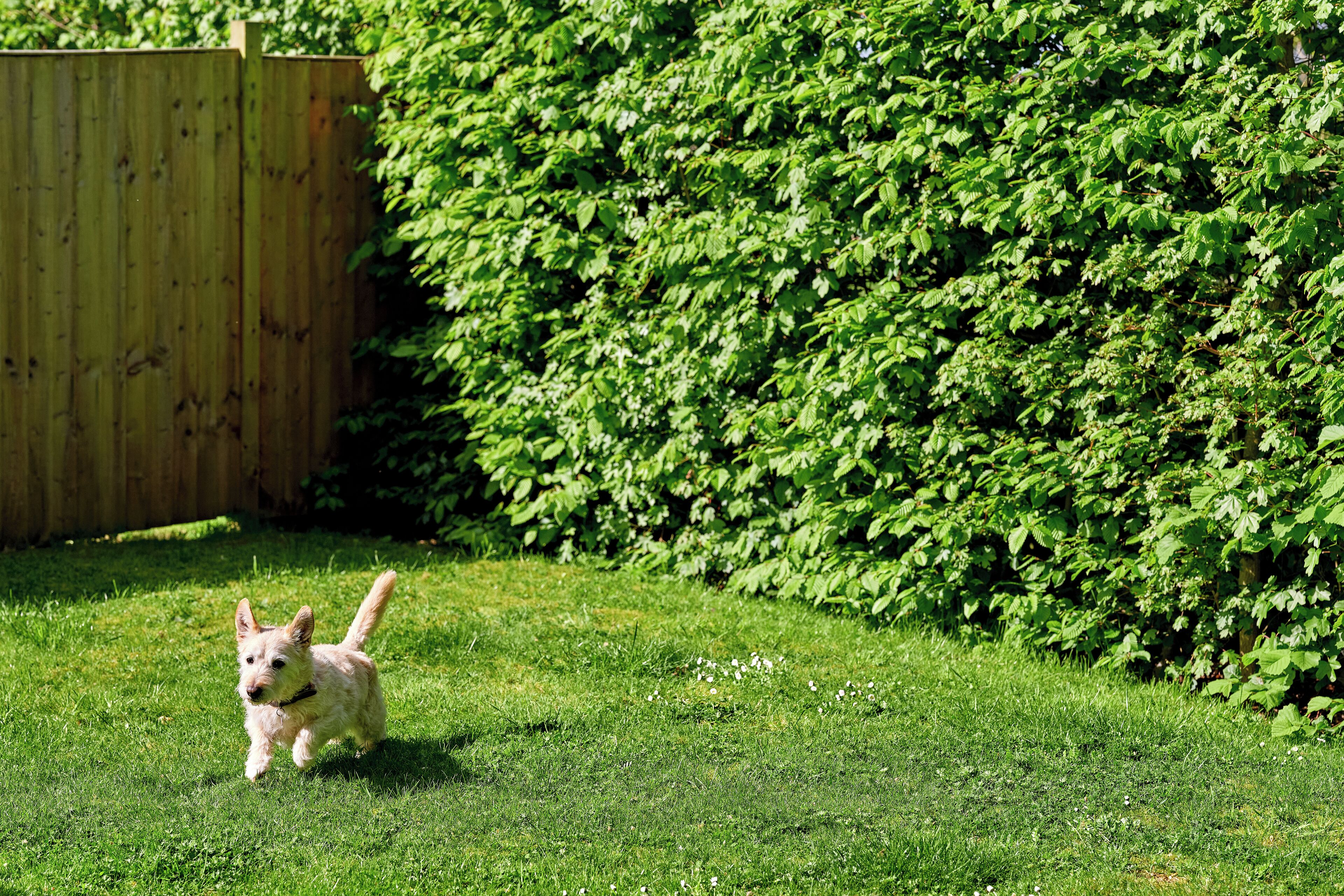 egyptian cotton sheets, premium bedding, tempur-pedic beds, minibar