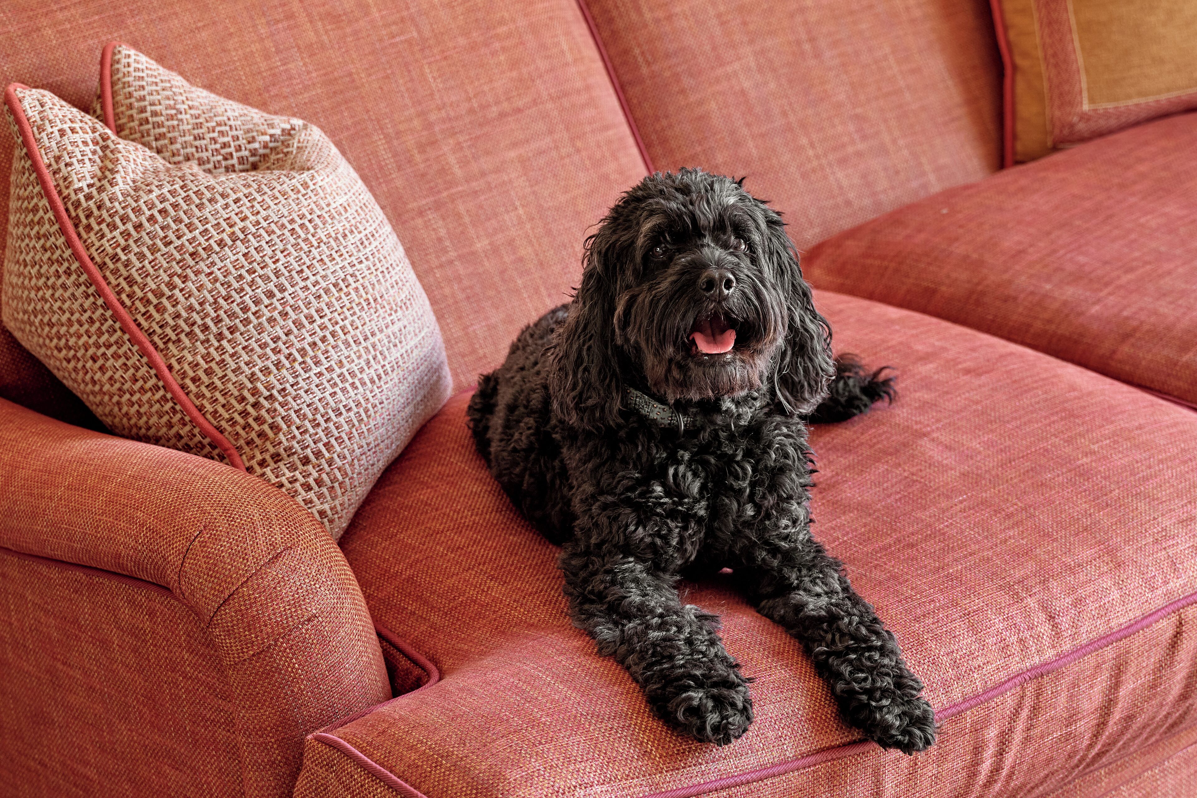 luxury room (private garden) | egyptian cotton sheets, premium bedding, tempur-pedic beds, minibar