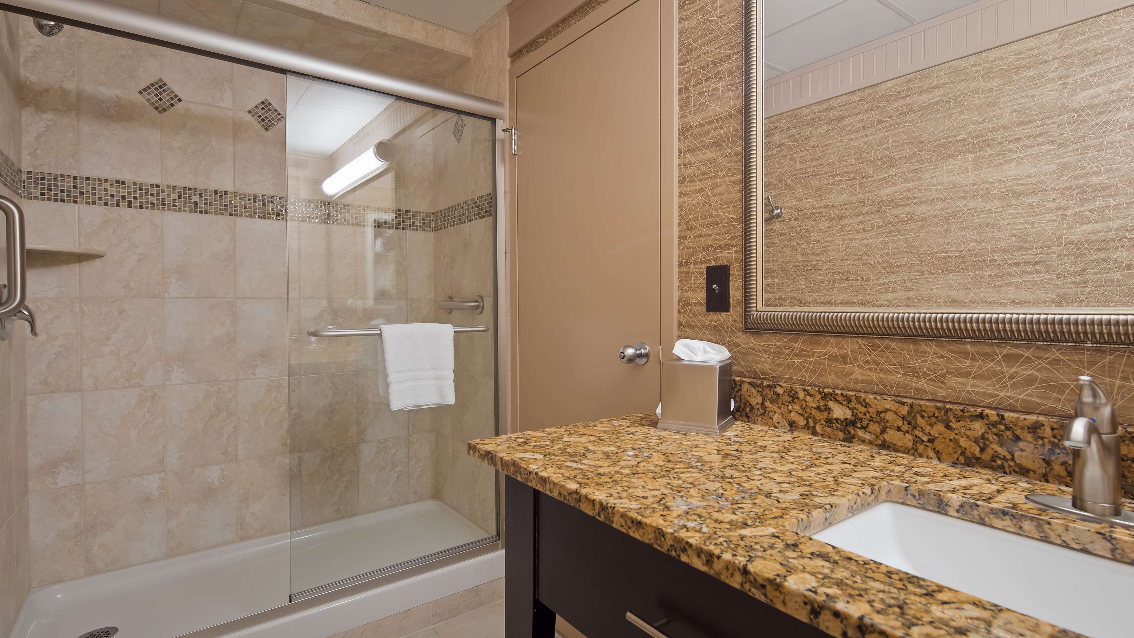 A bathroom with a glass-enclosed shower, a sink with a granite countertop, and a large mirror.