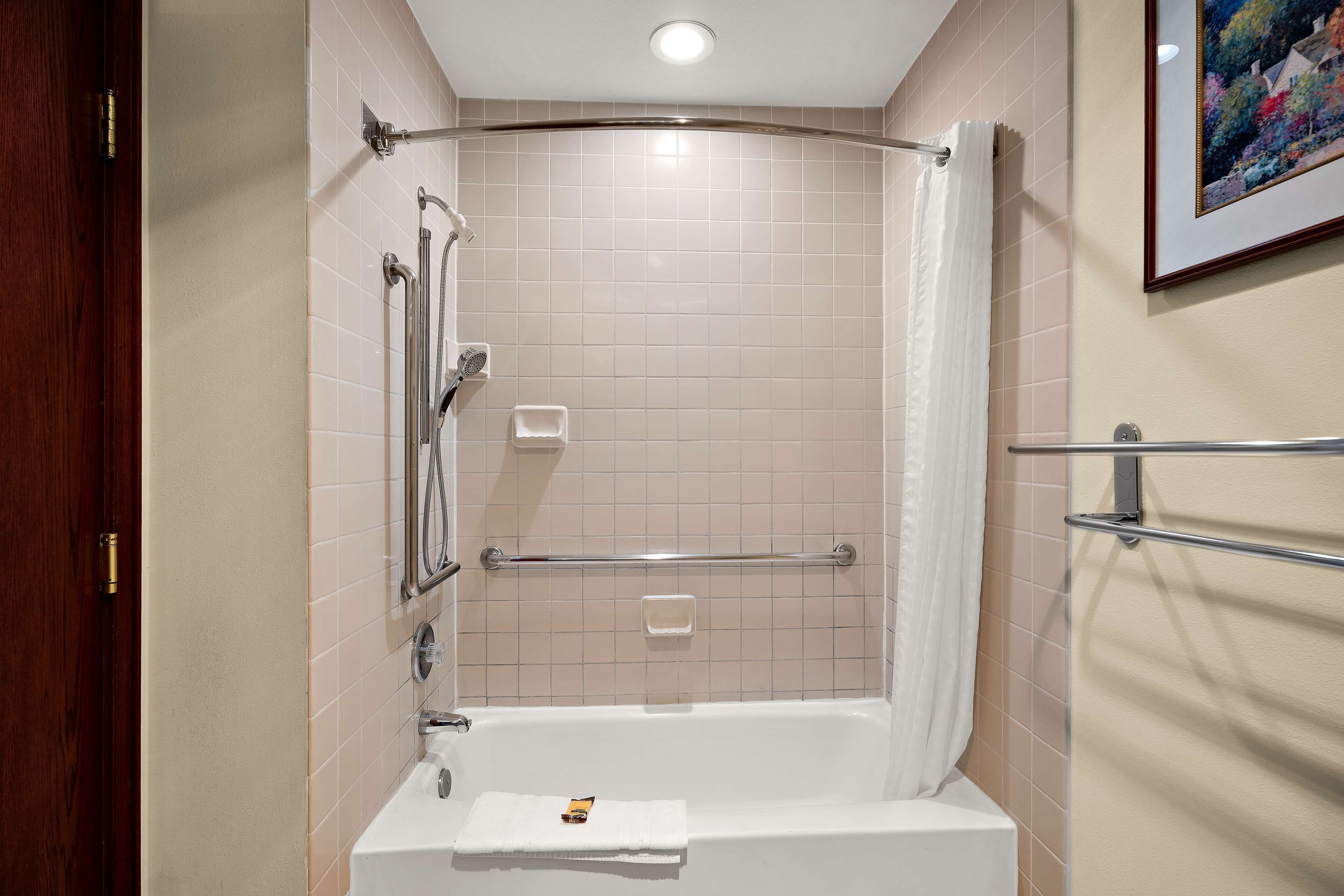 standard room, 1 king bed, accessible, refrigerator & microwave | bathroom | combined shower/bathtub, free toiletries, hair dryer, towels