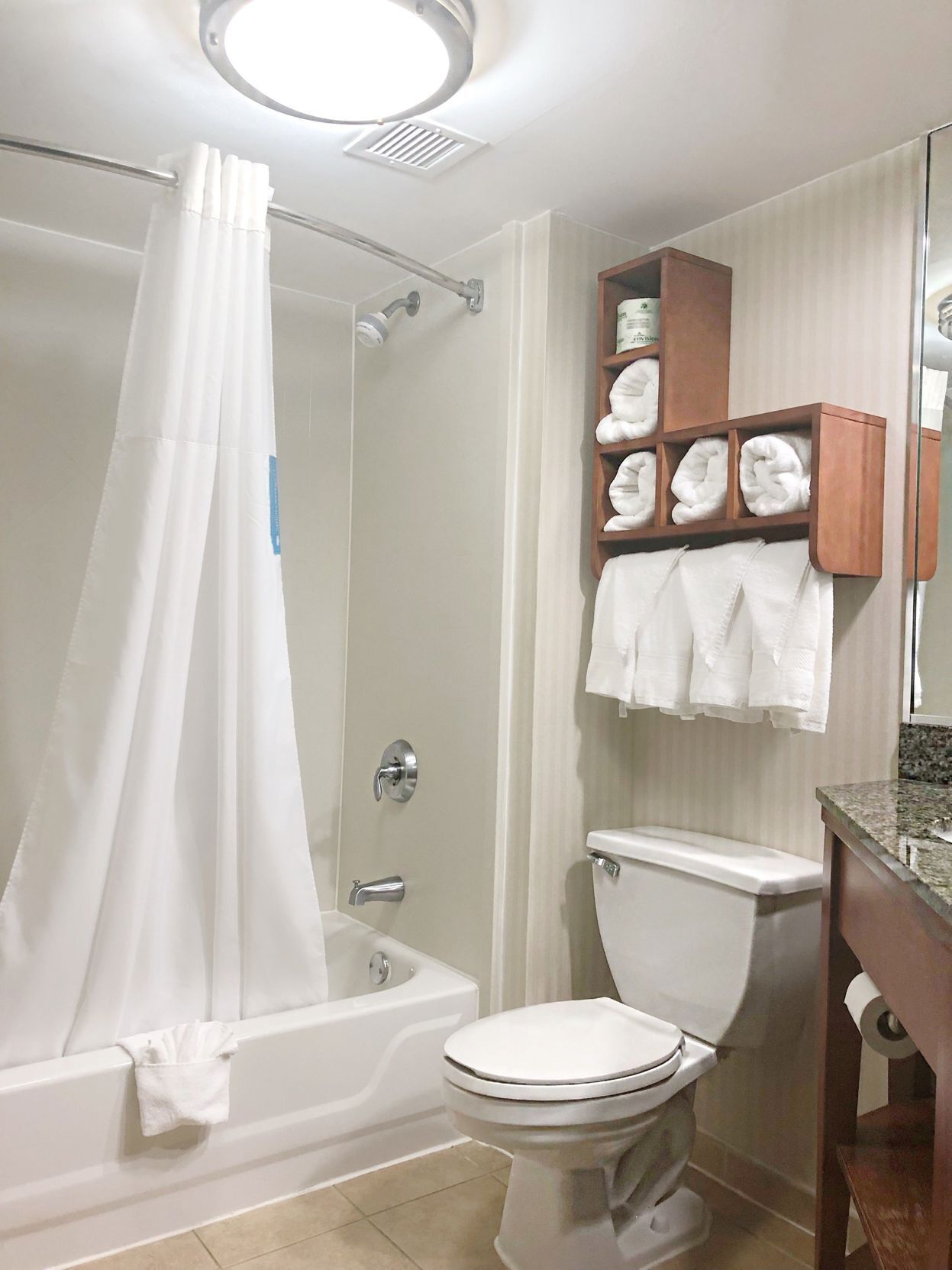 Baño | Tina con regadera, amenidades de baño gratuitas, toallas 