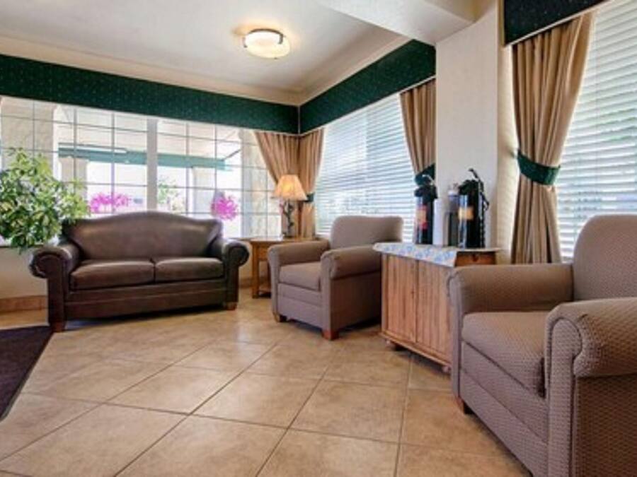A living room with a brown sofa, a smaller armchair, a coffee table, and a potted plant.