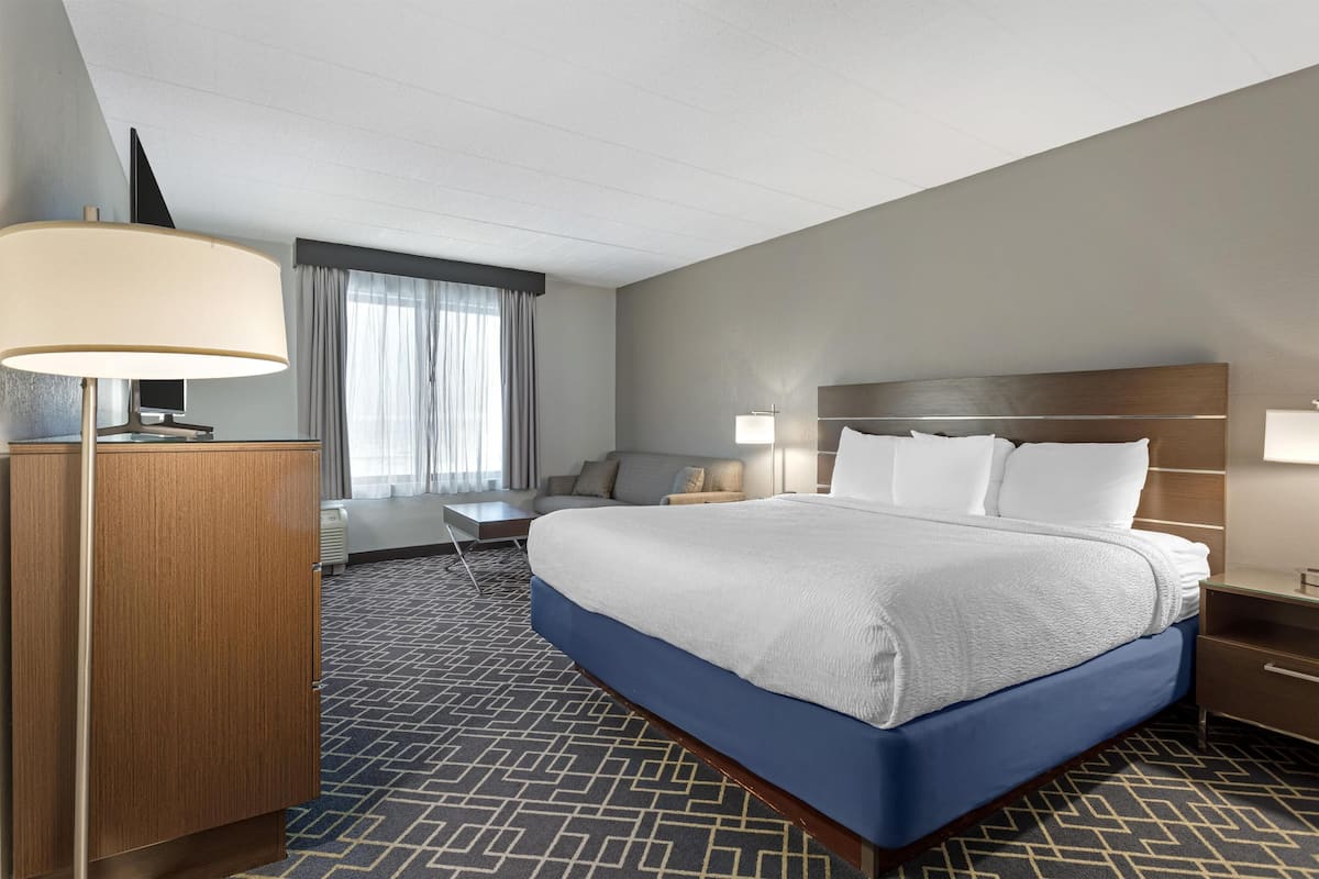 Standard Room, 1 King Bed, Non Smoking | Individually decorated, individually furnished, desk, laptop workspace