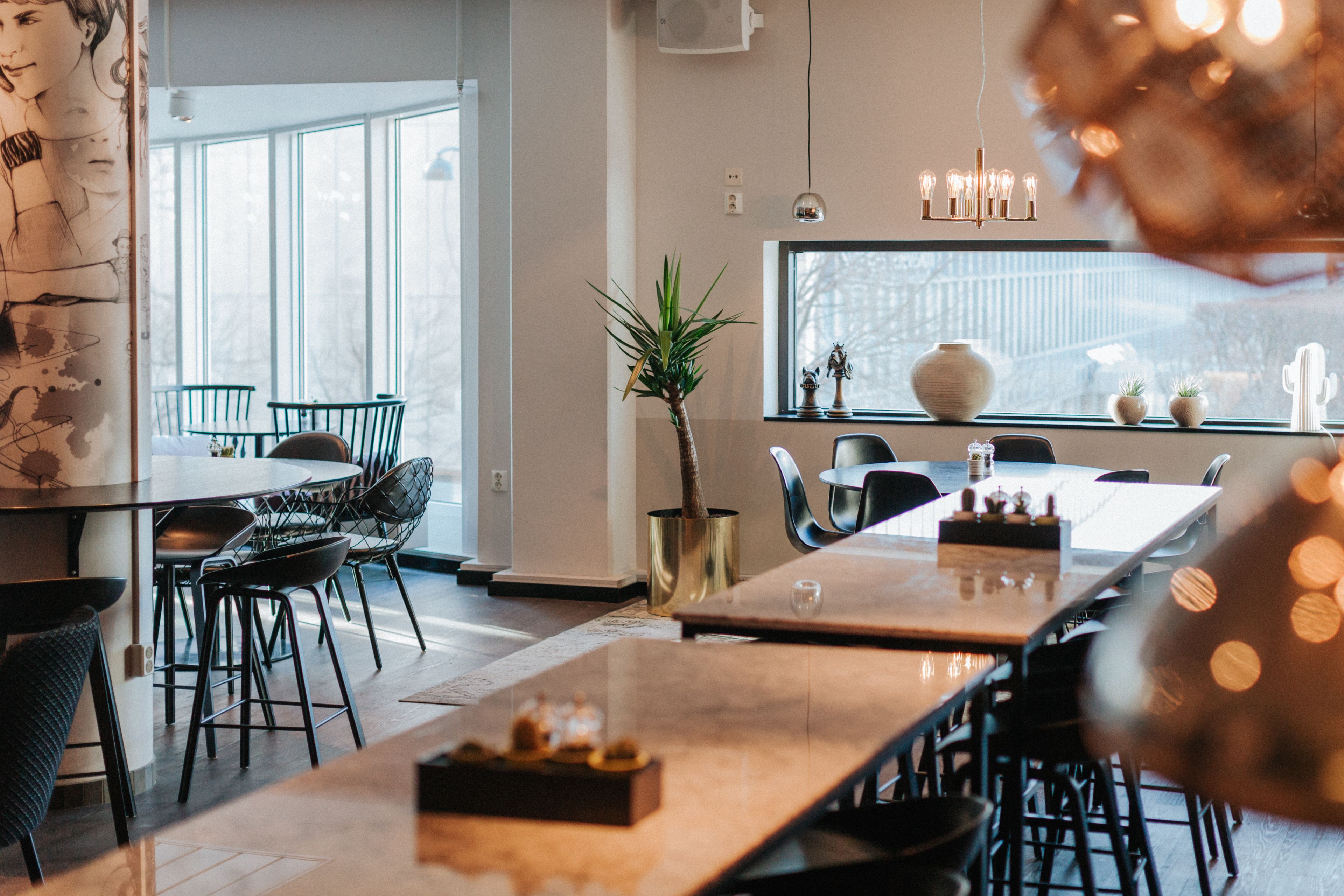 A modern dining area with a long table, chairs, and a potted plant.