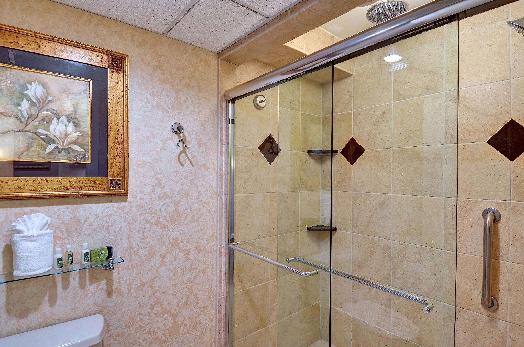 Kostenlose Toilettenartikel, Haartrockner, Handtücher, Seife