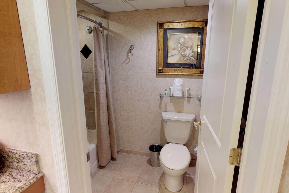 Hair dryer, towels, soap, shampoo