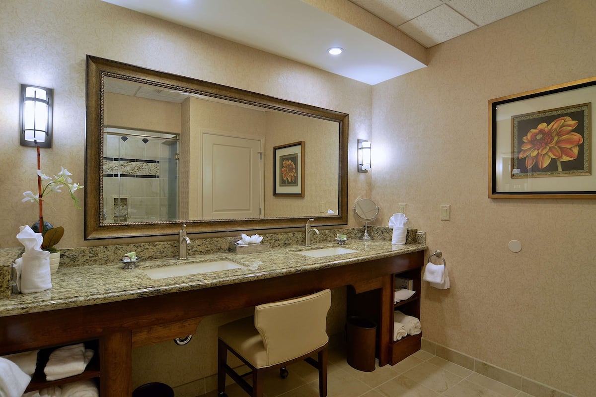 Hair dryer, towels, soap, shampoo