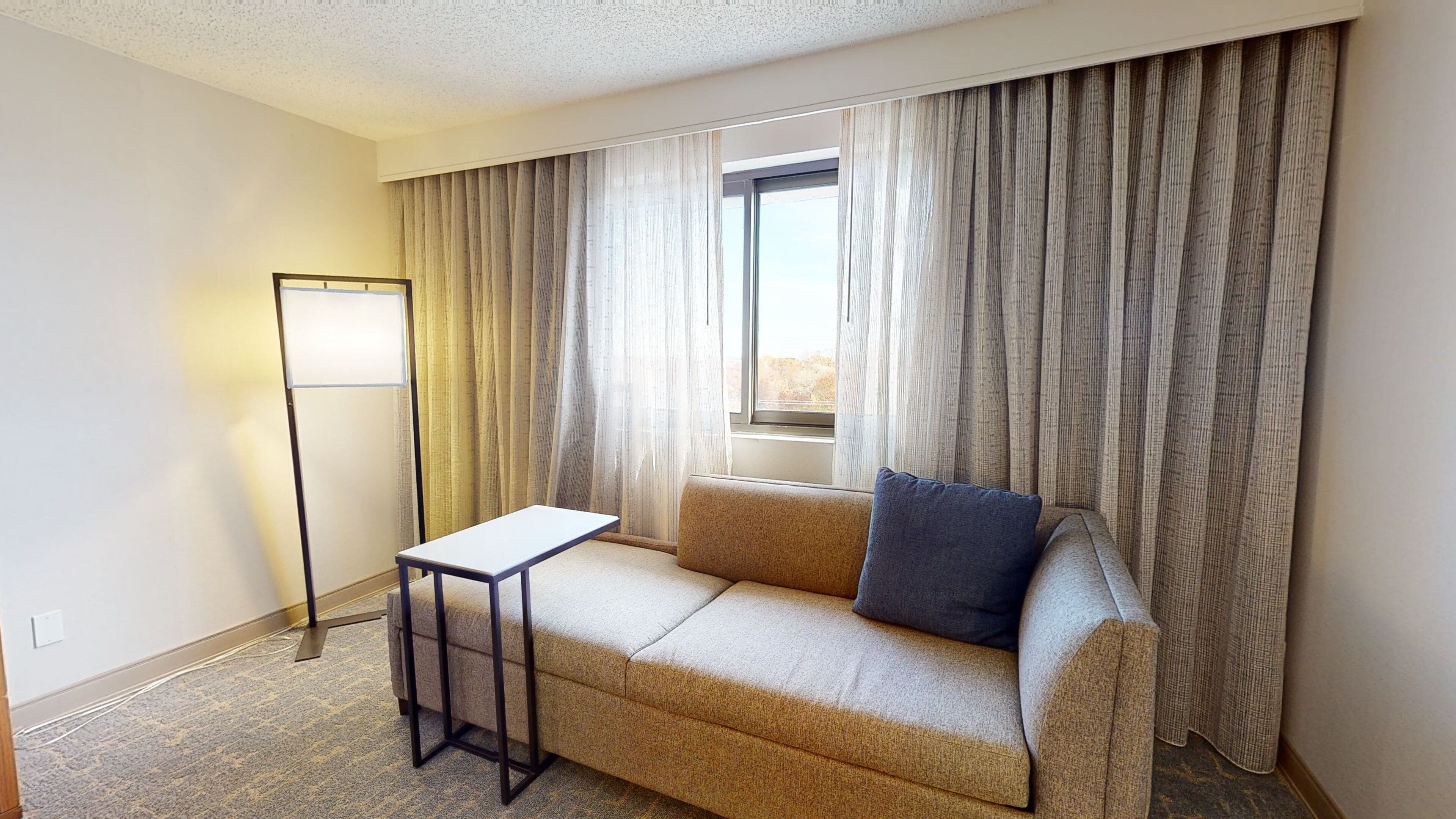 room, 1 king bed with sofa bed, non smoking | view from room