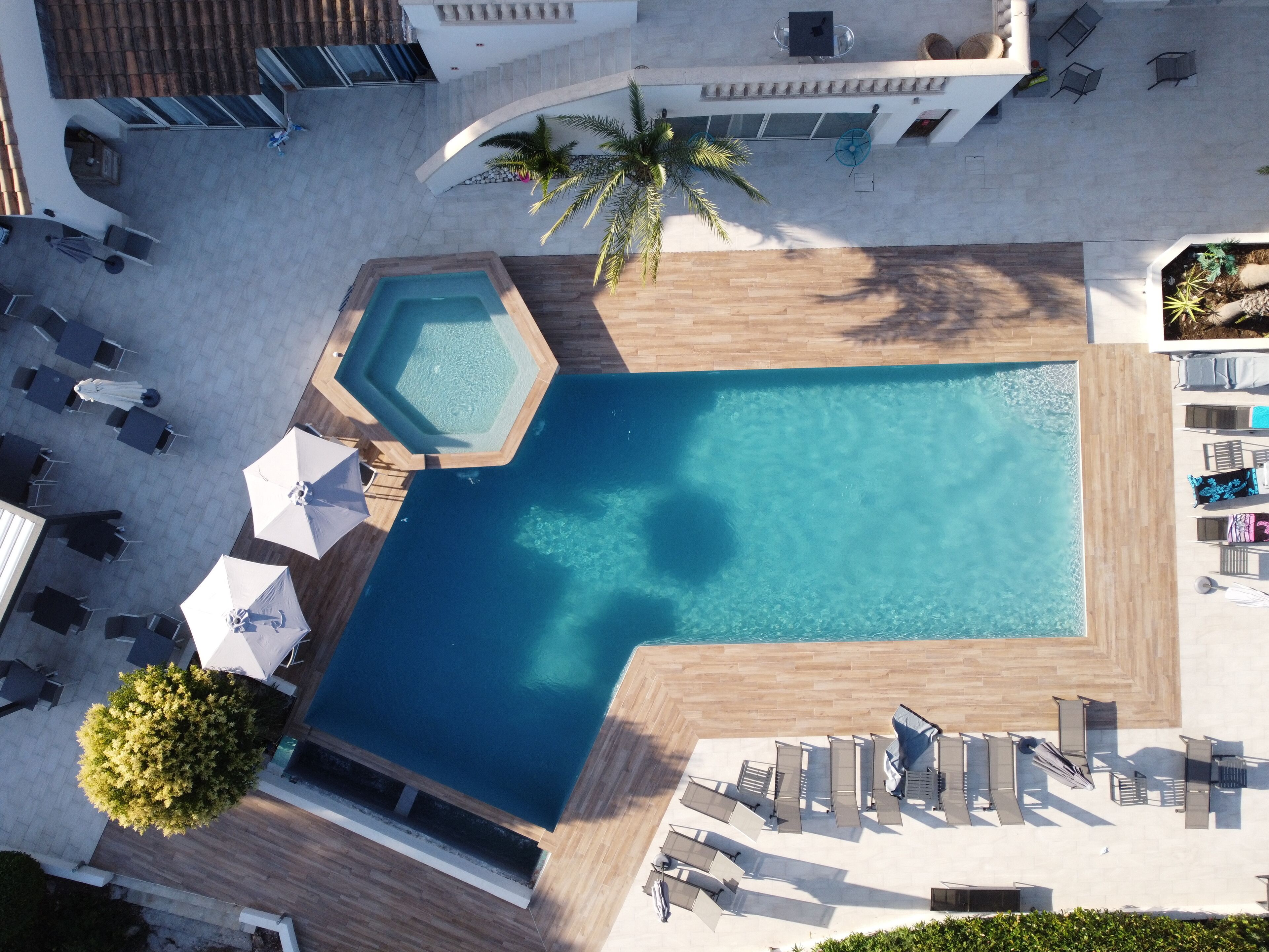 An aerial view of a hotel pool area with a rectangular pool, sun loungers, umbrellas, and a palm tree.