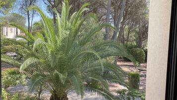 Standard-sviitti | Näkymä huoneesta