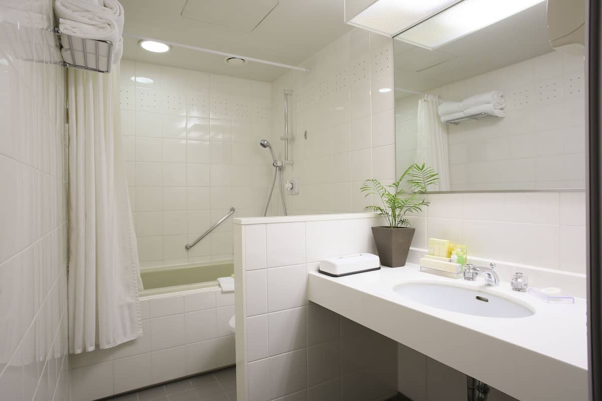 combined shower/bathtub, free toiletries, hair dryer, slippers