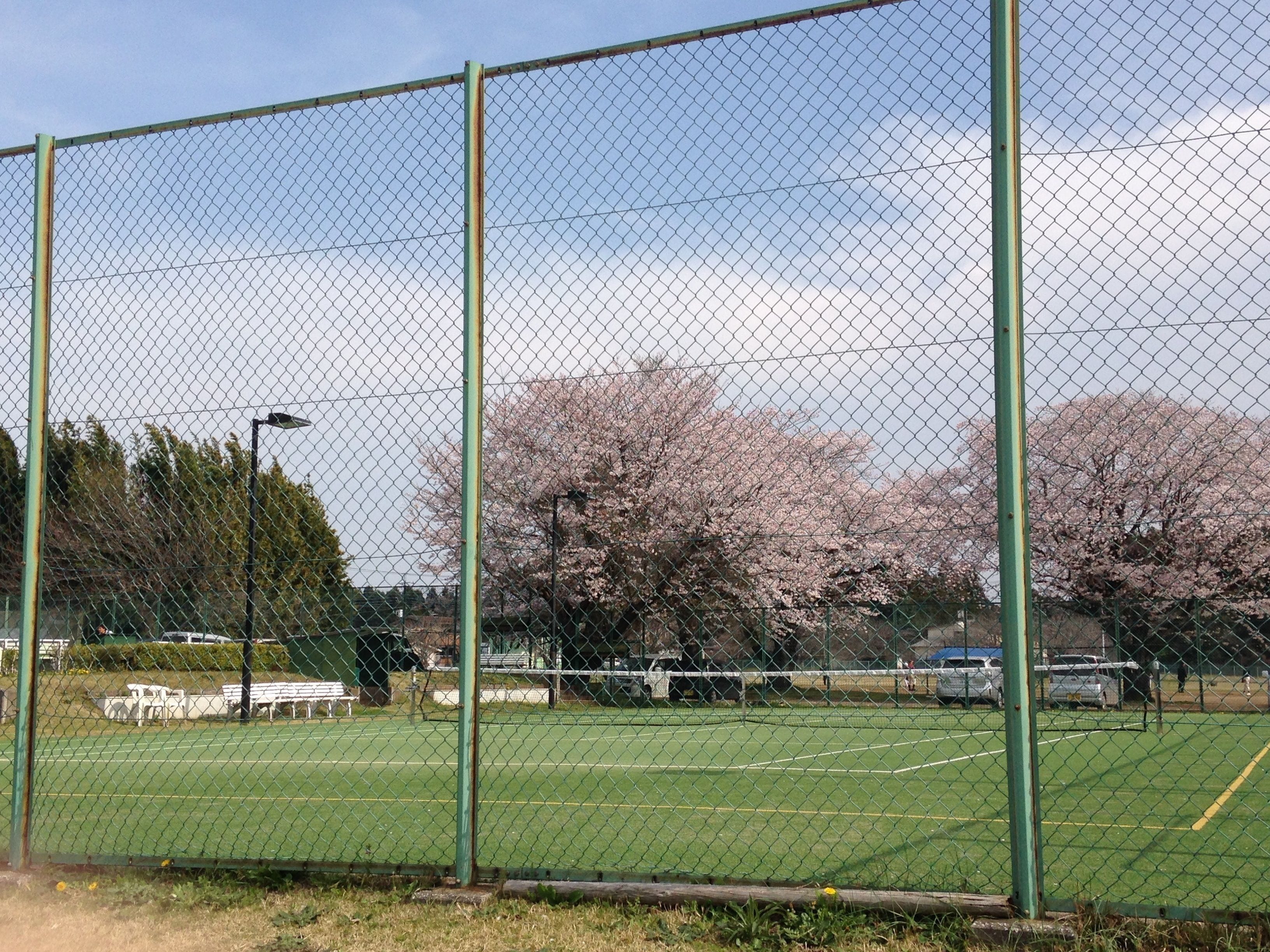 網球場