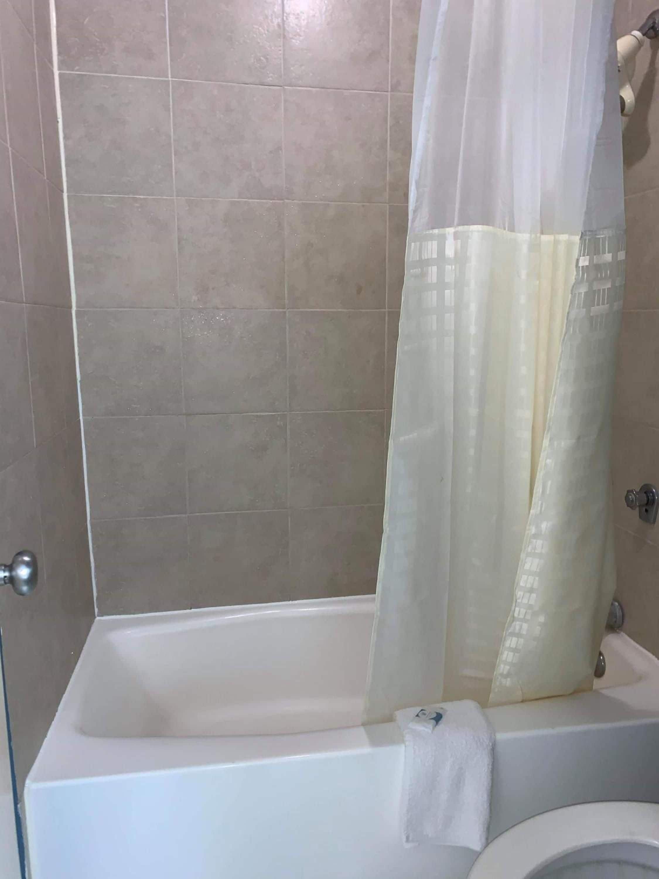 A bathroom with a bathtub, a toilet, and a shower curtain.