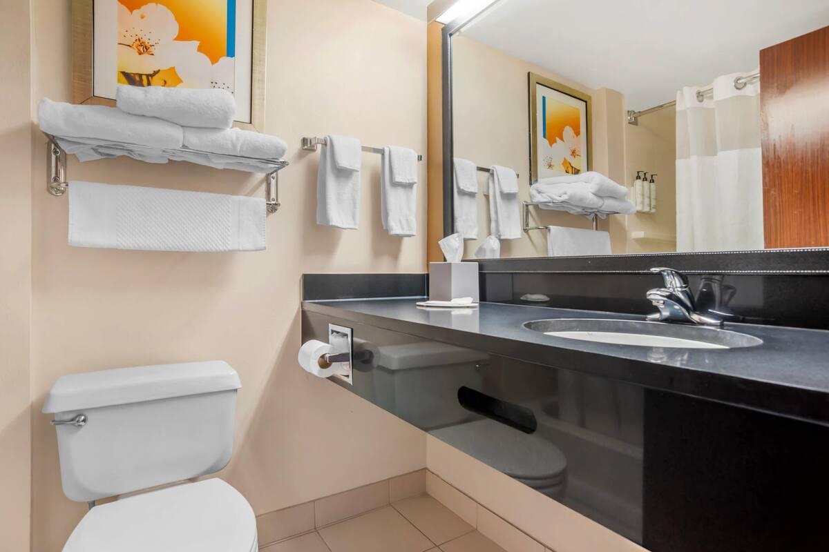 standard room, 1 king bed, non smoking | desk, iron/ironing board, free cots/infant beds, free wifi