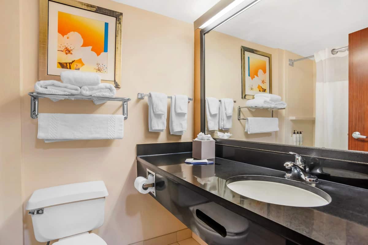 suite, 1 king bed, non smoking | desk, iron/ironing board, free cots/infant beds, free wifi