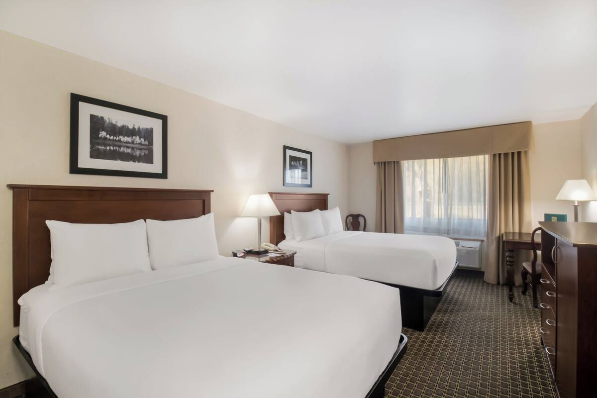 A hotel room with two beds, a desk, a chair, a lamp, and a framed picture on the wall.