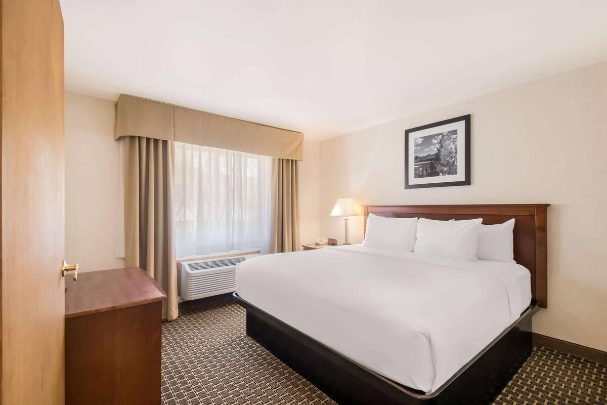 A hotel room with a large bed, a bedside table, a lamp, a framed picture on the wall, and a window with curtains.