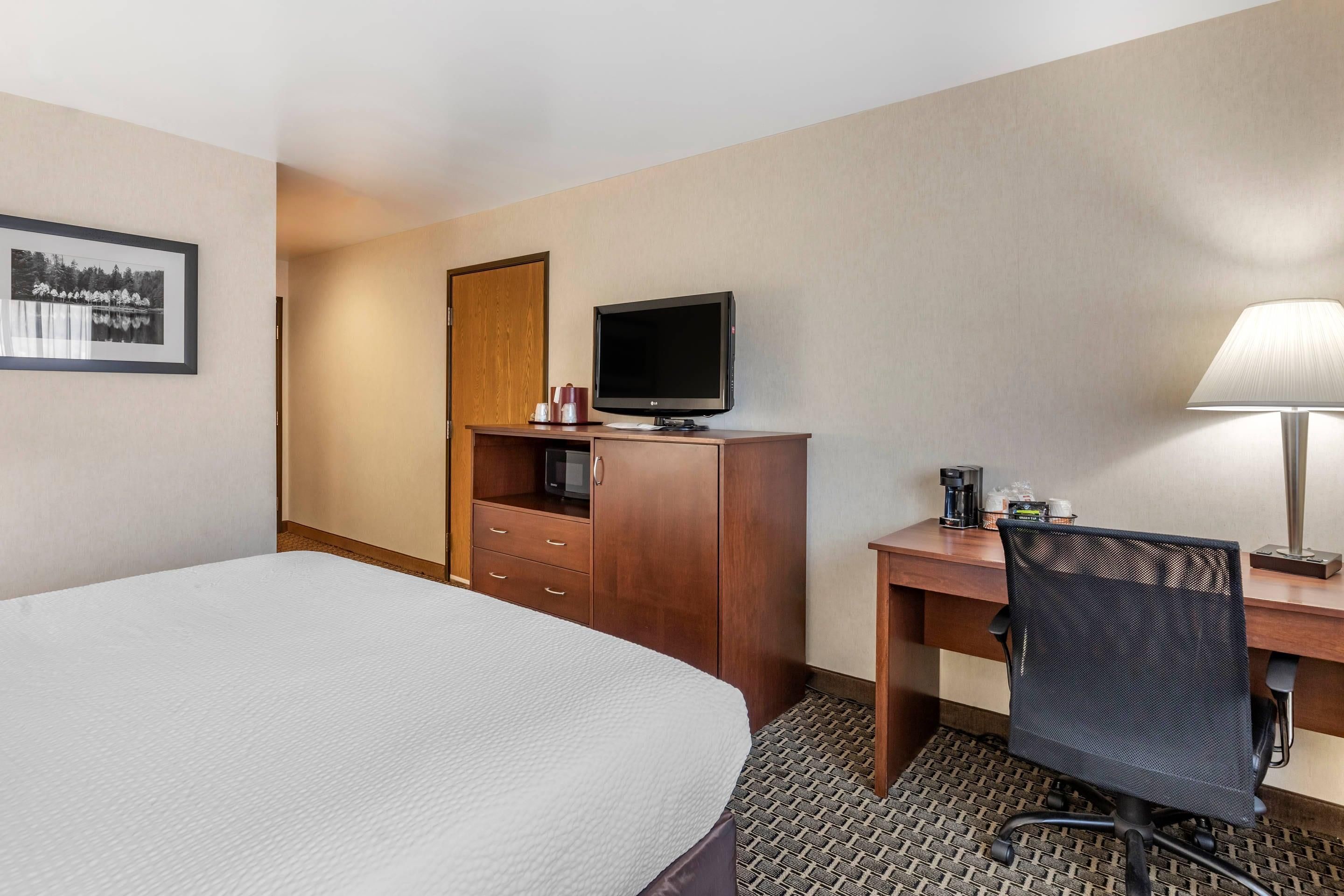 Une chambre d’hôtel comprenant un lit, un bureau avec une chaise, une télévision, une lampe et un tableau encadré au mur.