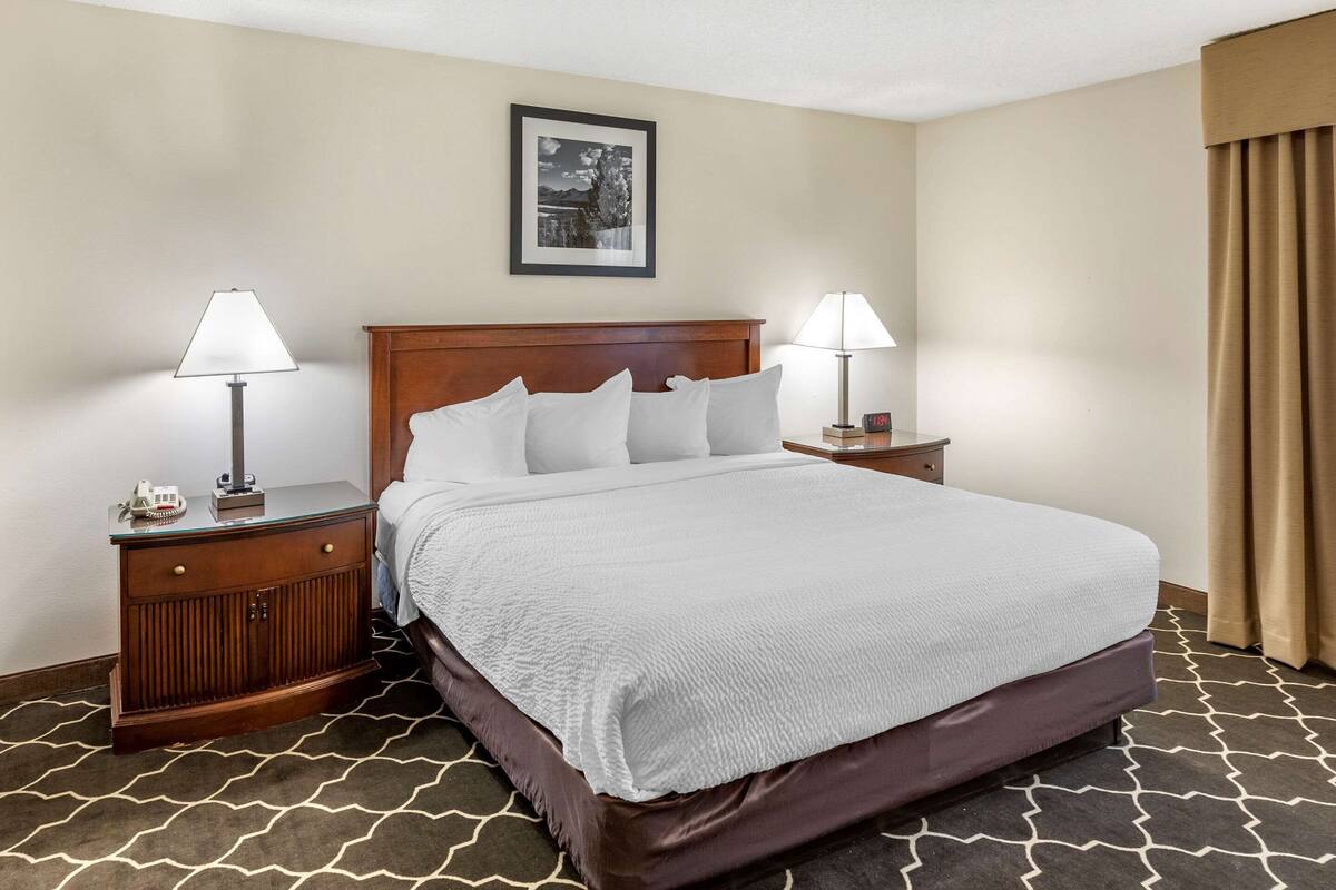 A hotel room with a large bed, two bedside tables with lamps, a wooden headboard, a framed picture on the wall, and patterned carpet.