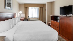 A hotel room with a large bed, a TV, a desk, and a chair. - Quality Inn & Suites Steamboat Springs (Steamboat Springs)