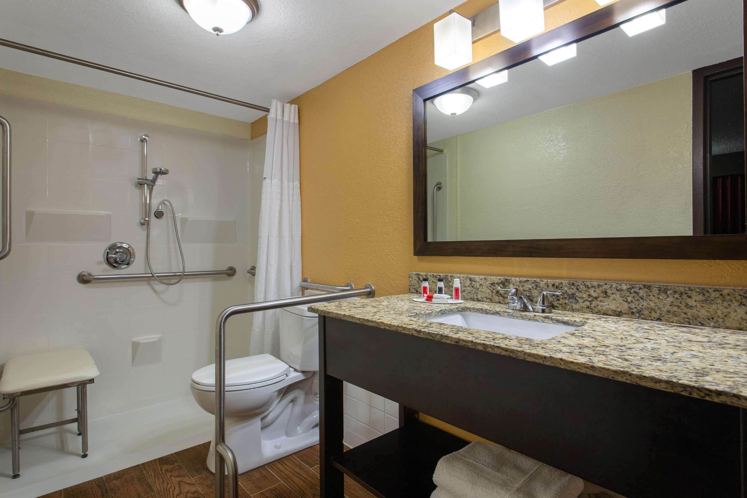 room, 1 king bed, accessible, non smoking | bathroom | combined shower/bathtub, designer toiletries, hair dryer, towels