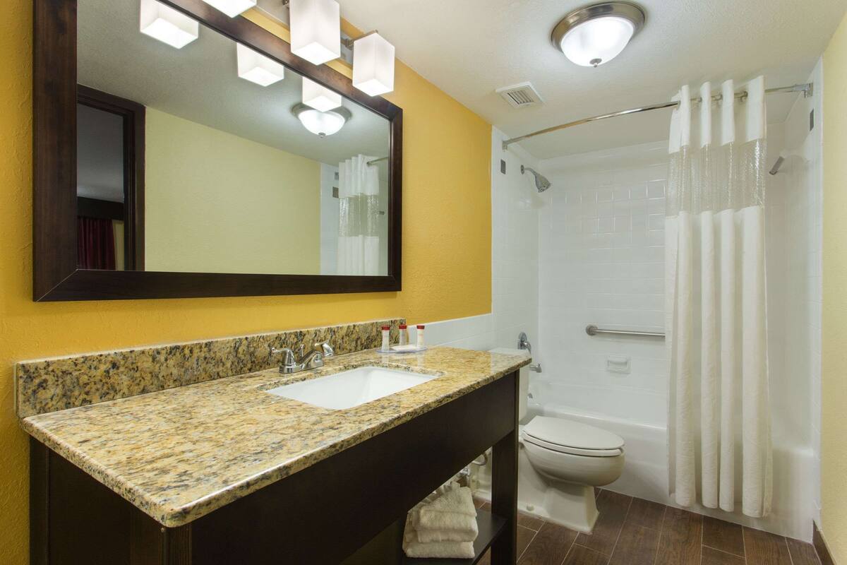 combined shower/bathtub, designer toiletries, hair dryer, towels