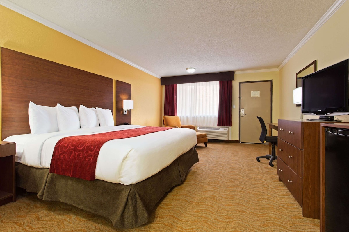 desk, blackout curtains, iron/ironing board, free cots/infant beds