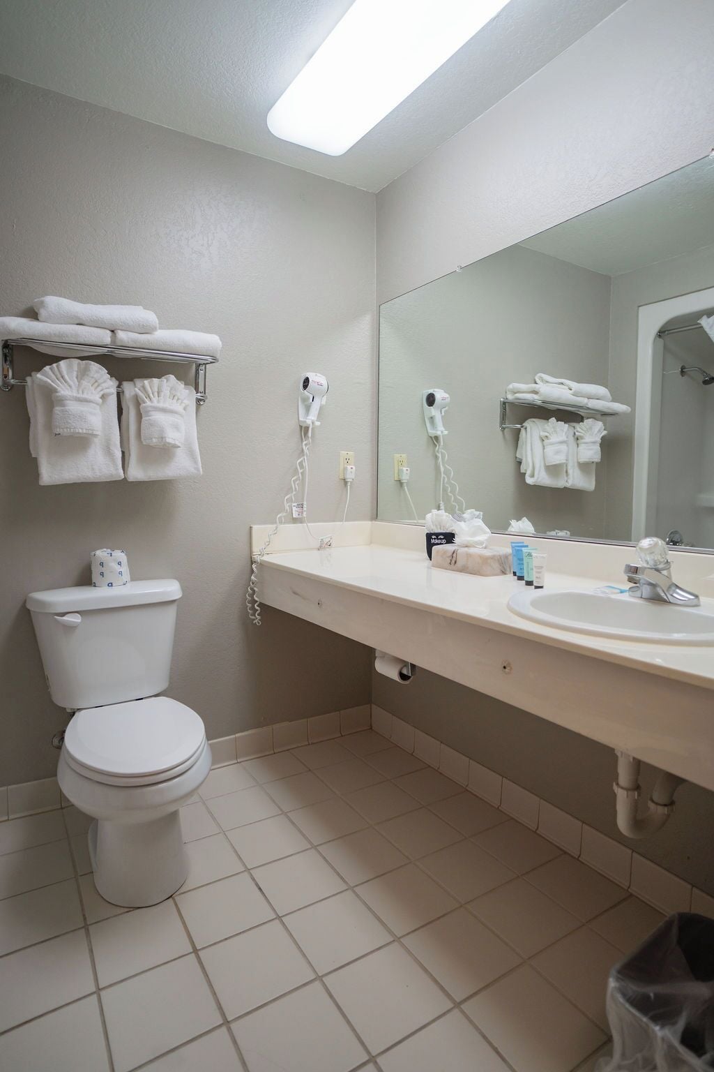 A bathroom with a toilet, a sink, a mirror, and towel racks.