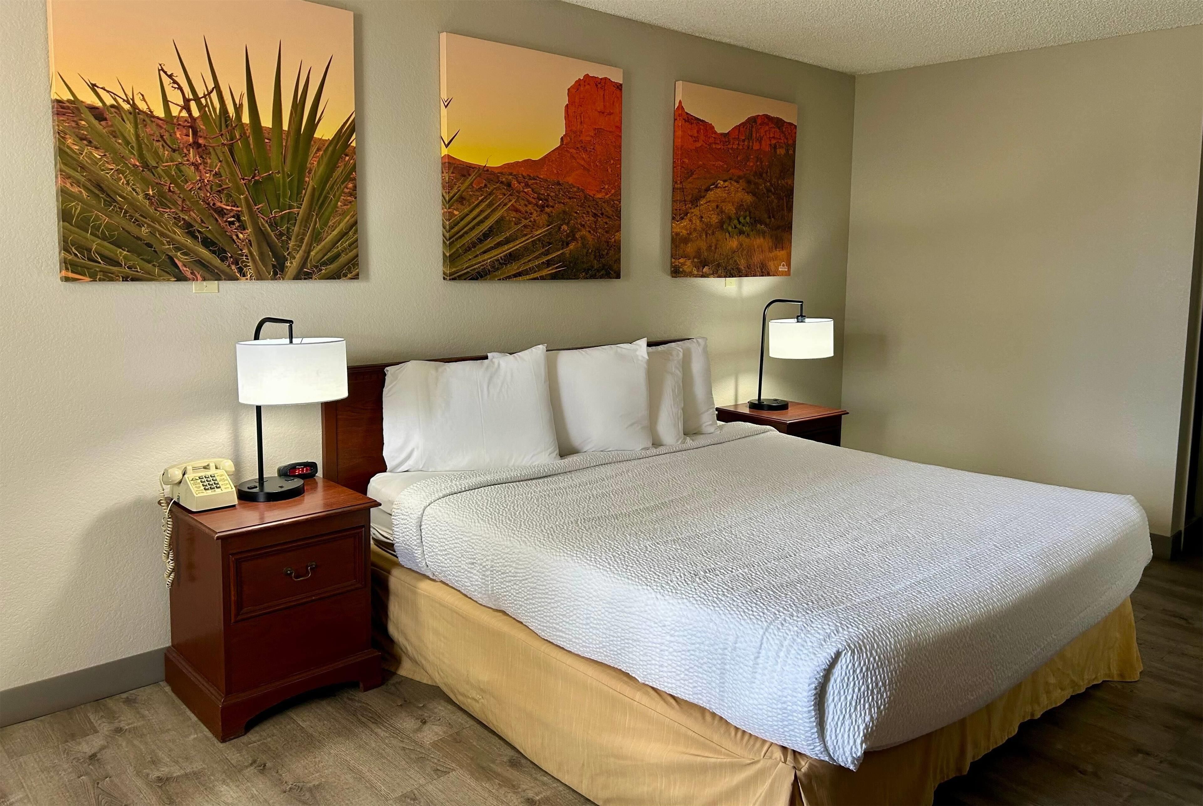 Standard Room, 1 King Bed | Desk, blackout drapes, iron/ironing board, free WiFi