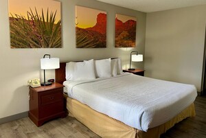 Standard Room, 1 King Bed | Desk, blackout drapes, iron/ironing board, free WiFi