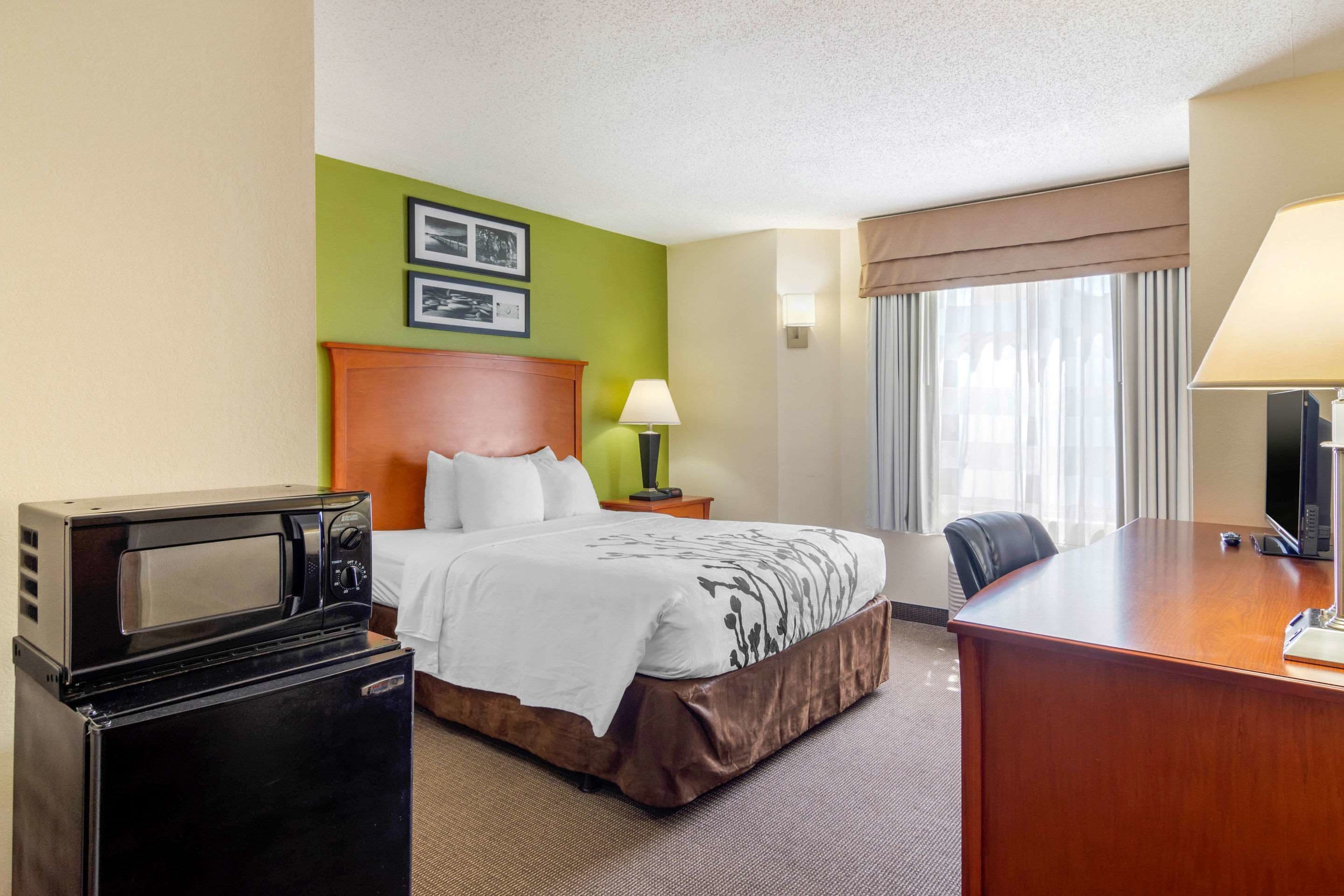 A hotel room with a bed, a desk, a microwave, a lamp, and a TV.