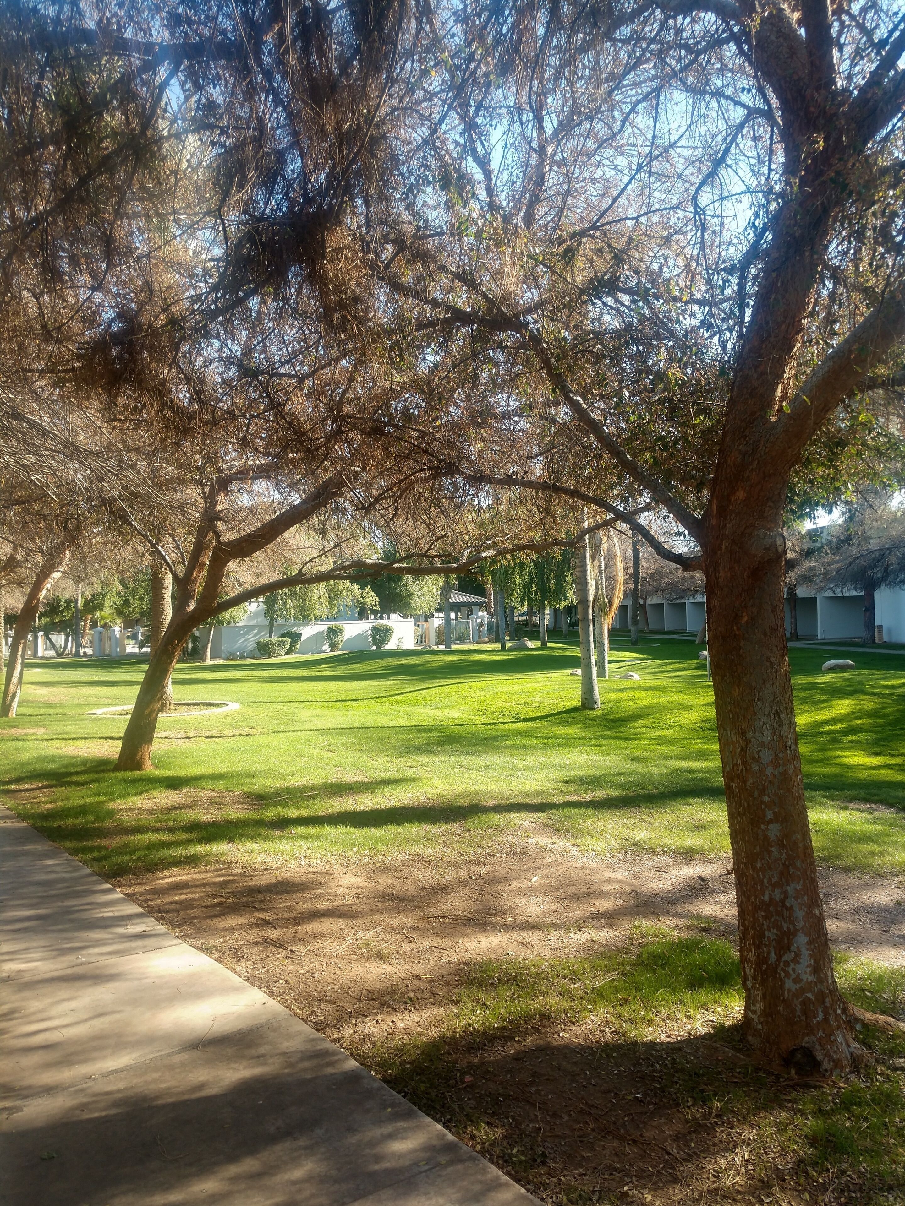 Courtyard view