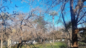 Standard Room, 2 Queen Beds, Non Smoking | Courtyard view