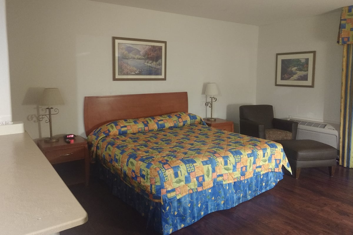 Standard Room, 1 King Bed, Non Smoking | Desk, laptop workspace, blackout drapes, iron/ironing board