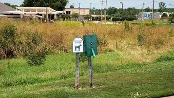 Servicios para mascotas